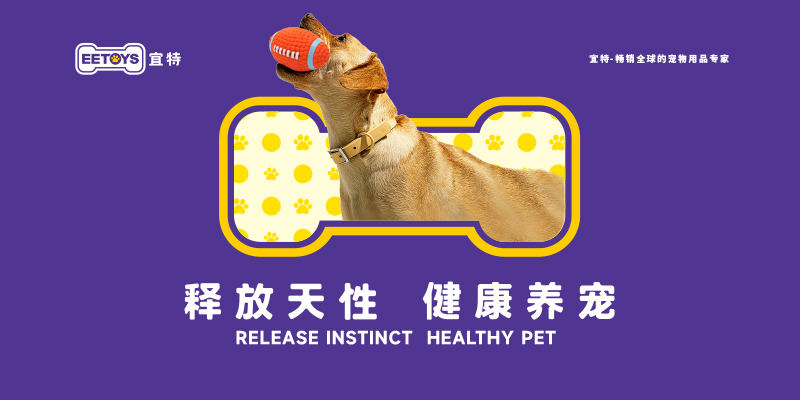 宜特寵物用品品牌營(yíng)銷策劃案例