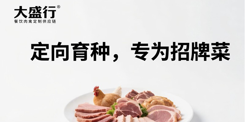 大盛行肉禽供應(yīng)鏈品牌策劃案例