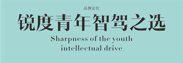 陸風(fēng)行車記錄儀營銷策劃,行車記錄儀營銷策劃,陸風(fēng)行車記錄儀