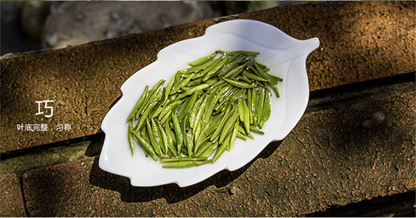 竹葉青茶營(yíng)銷,竹葉青茶,竹葉青