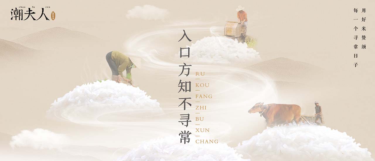 大米品牌營(yíng)銷策劃,潮夫人大米,大米品牌營(yíng)銷策劃案例