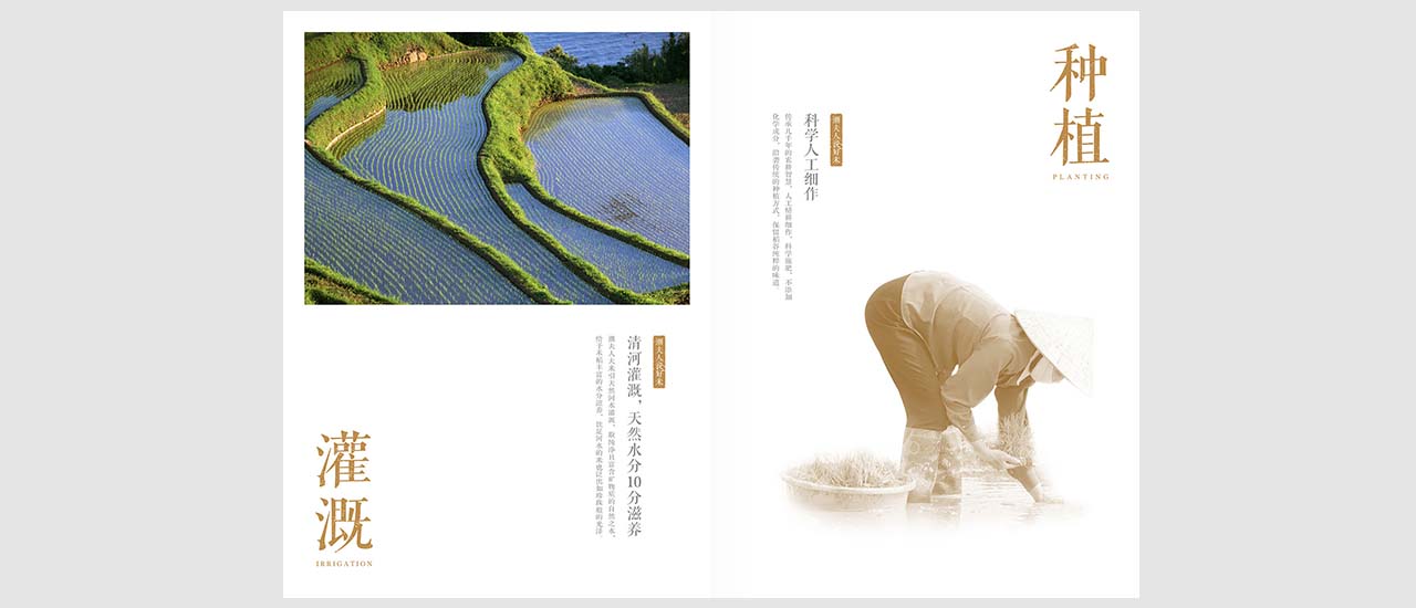 大米品牌營(yíng)銷策劃,潮夫人大米,大米品牌營(yíng)銷策劃案例