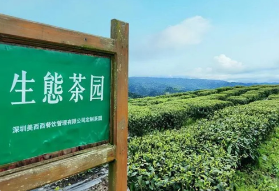 喜茶品牌營(yíng)銷策劃