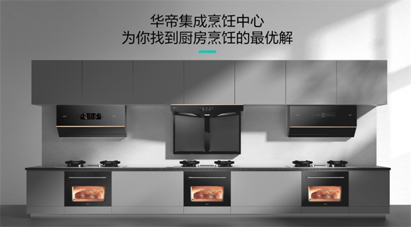 華帝電器品牌營(yíng)銷策劃