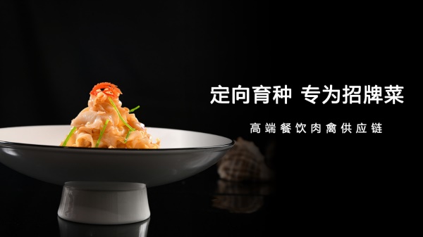 怎樣做預制菜品牌營銷策劃