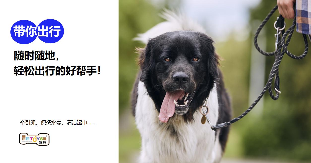 宜特寵物用品品牌營(yíng)銷策劃案例