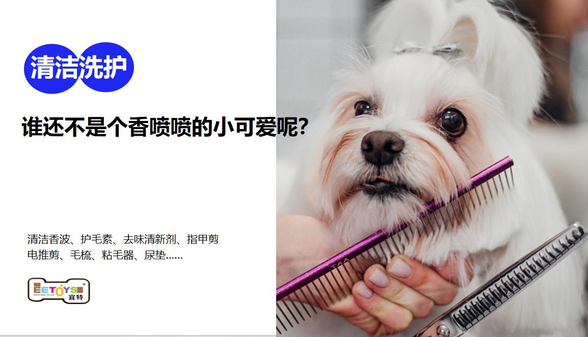 宜特寵物用品品牌營(yíng)銷策劃案例