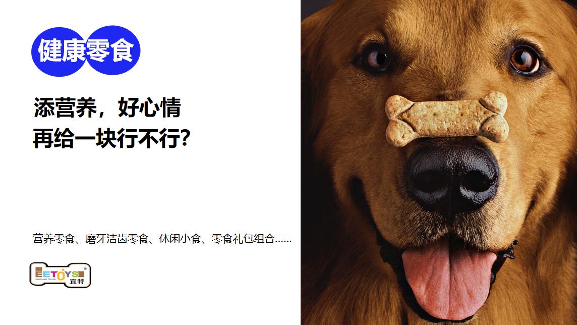 宜特寵物用品品牌營(yíng)銷策劃案例