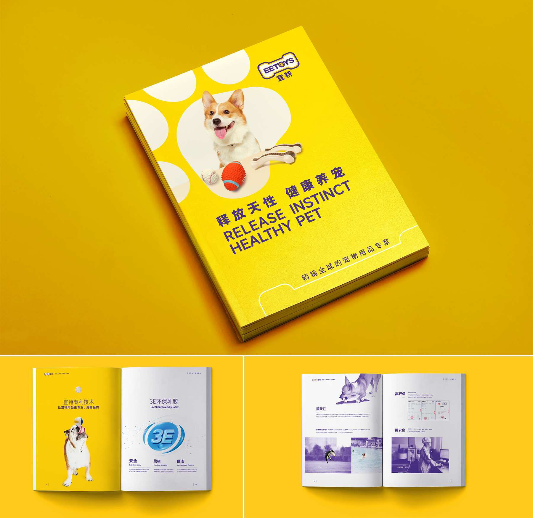 宜特寵物用品品牌營(yíng)銷策劃案例