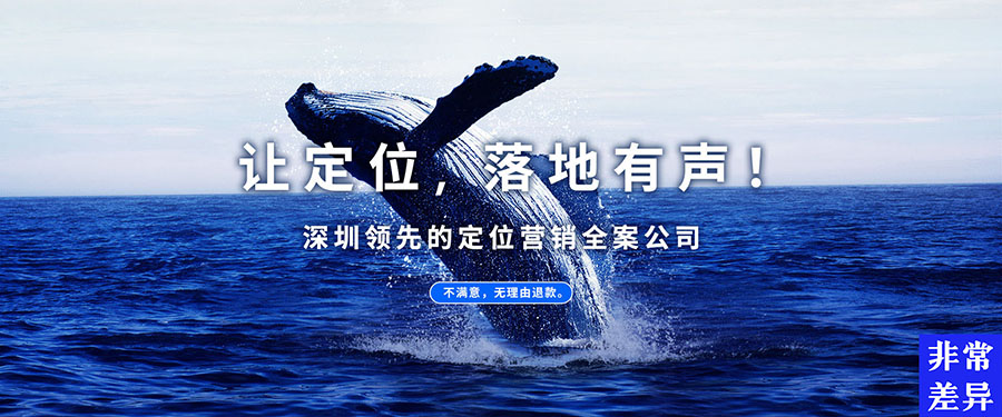 白象食品營(yíng)銷策略