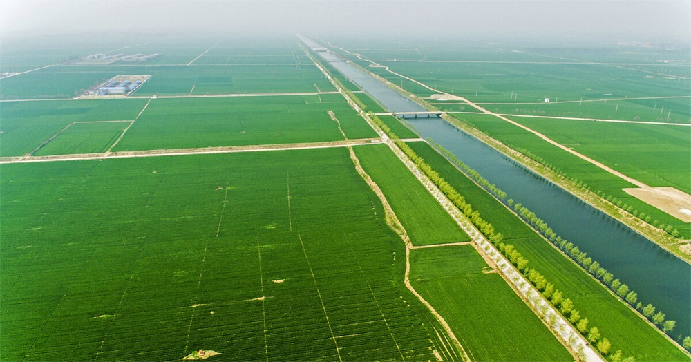 農(nóng)業(yè)品牌策劃,農(nóng)業(yè)品牌策劃案例,農(nóng)業(yè)品牌案例分析